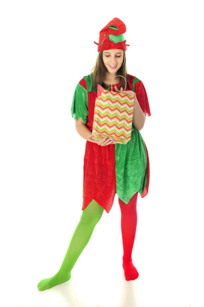 精灵在检查礼物袋图片下载