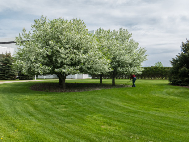 园丁清洁图片下载