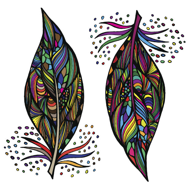 装饰的羽毛图片下载