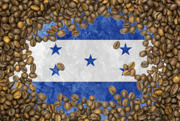 洪都拉斯国旗下的烘焙咖啡豆的背景纹理图片下载