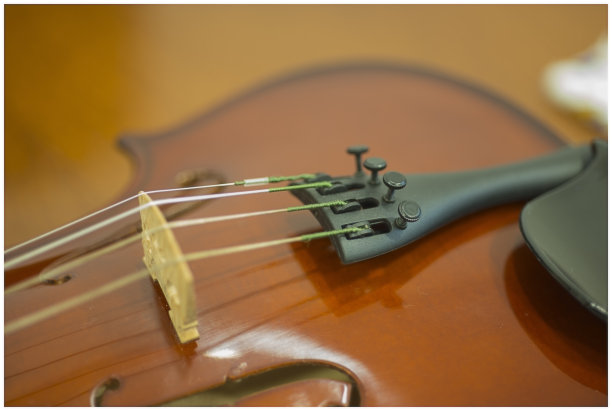 复古小提琴图片下载