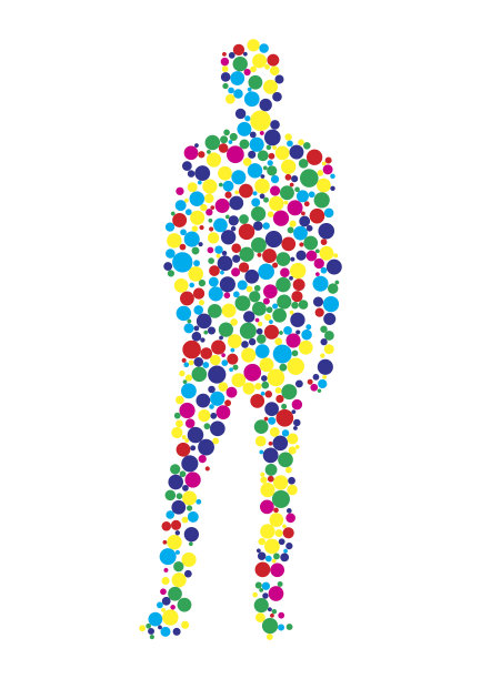 人体轮廓图片下载