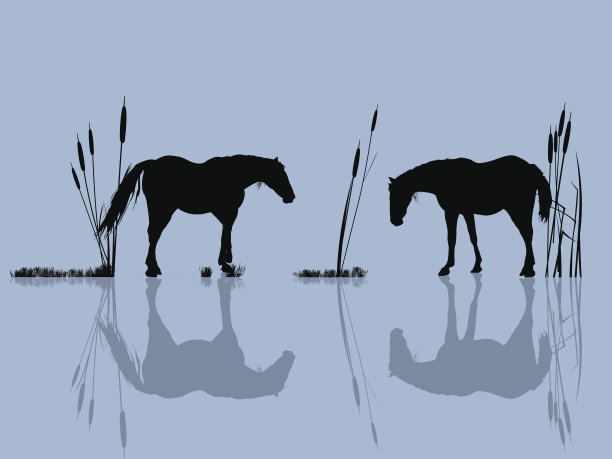 水边的马图片下载