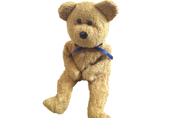 熊娃娃图片下载