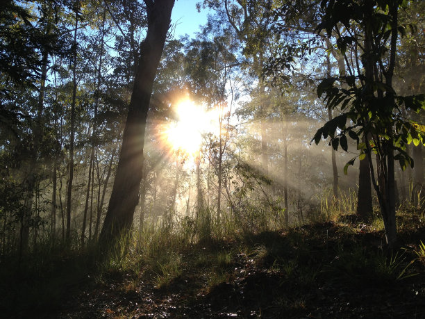 九月有雾的早晨图片下载
