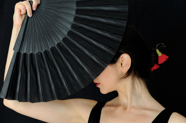 弗拉门卡图片下载