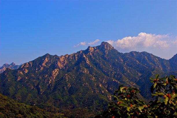 晚上的山顶上图片下载