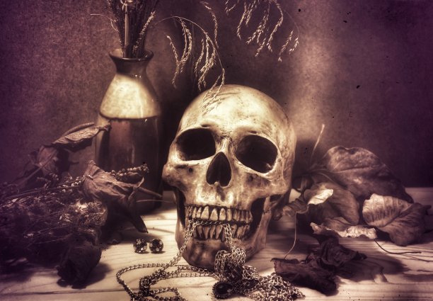 有人类头骨的静物图片下载