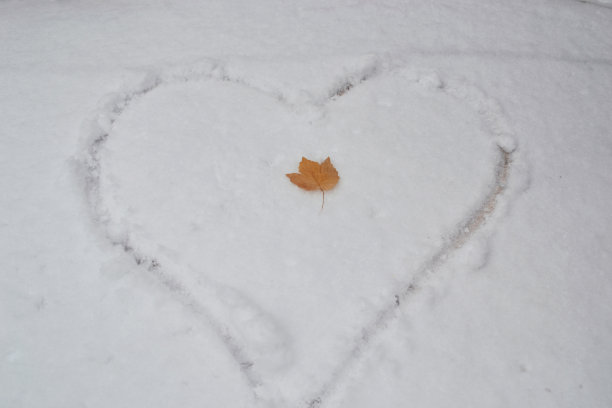 心的形状图片下载