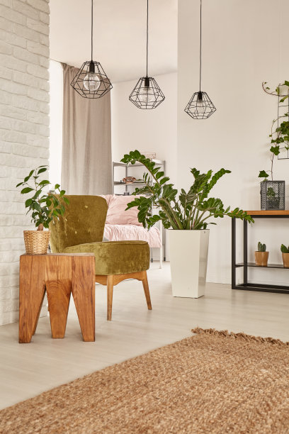 室内装饰室内植物图片下载