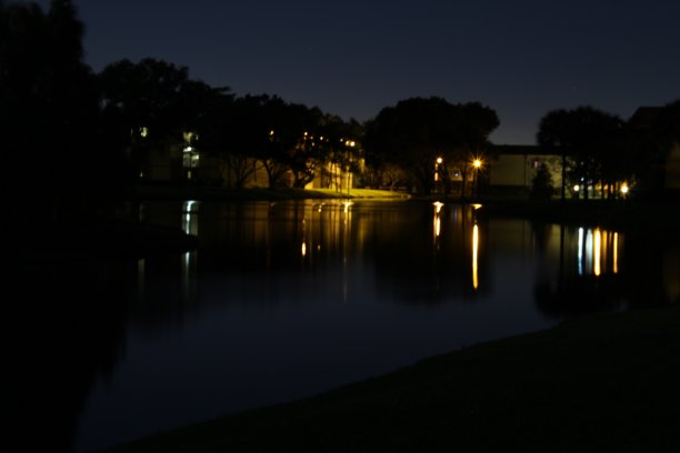 在湖中拍摄夜景图片下载