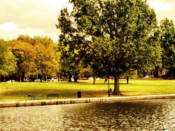 湖和树图片下载