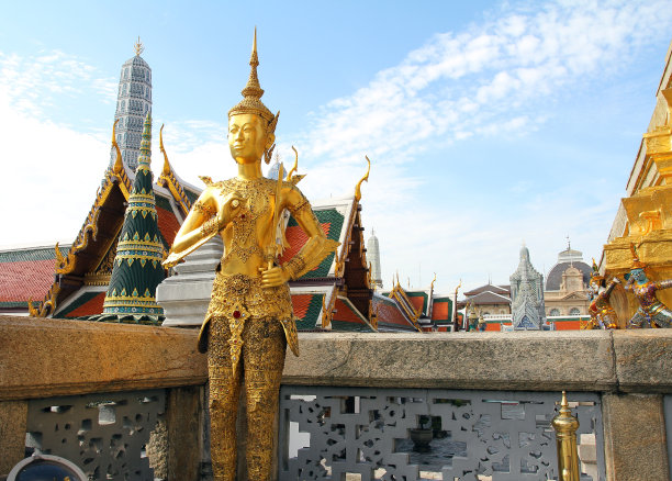 金金纳雷图片下载