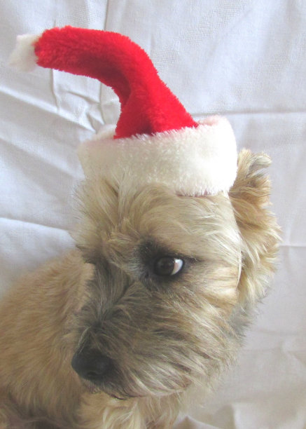 圣诞节装扮图片素材ID：130704904