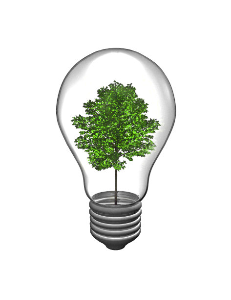 点子概念与球茎和绿树插图图片下载