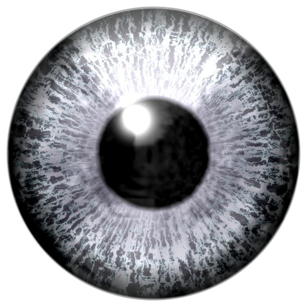 眼睛的细节有灰色虹膜和黑色瞳孔图片下载