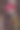 鸟的盒子图片下载