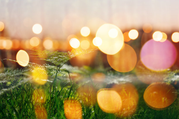 自然背景与散景灯图片下载