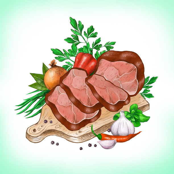 来料肉，香草和蔬菜。数码插图。图片下载