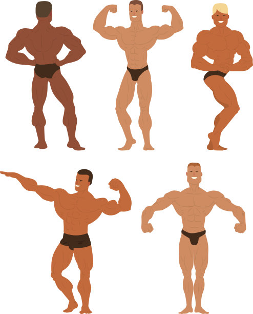男士健美运动员矢量图图片下载