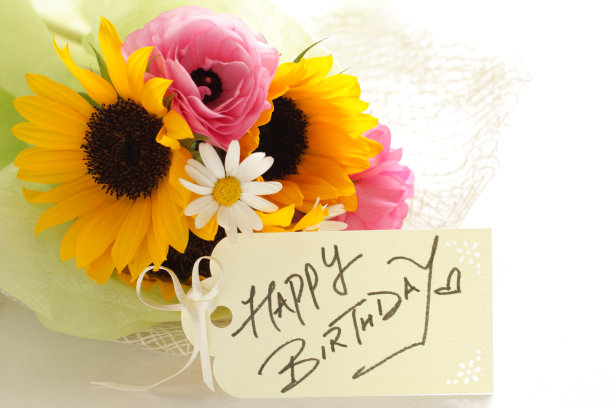 太阳花和毛茛素材图片