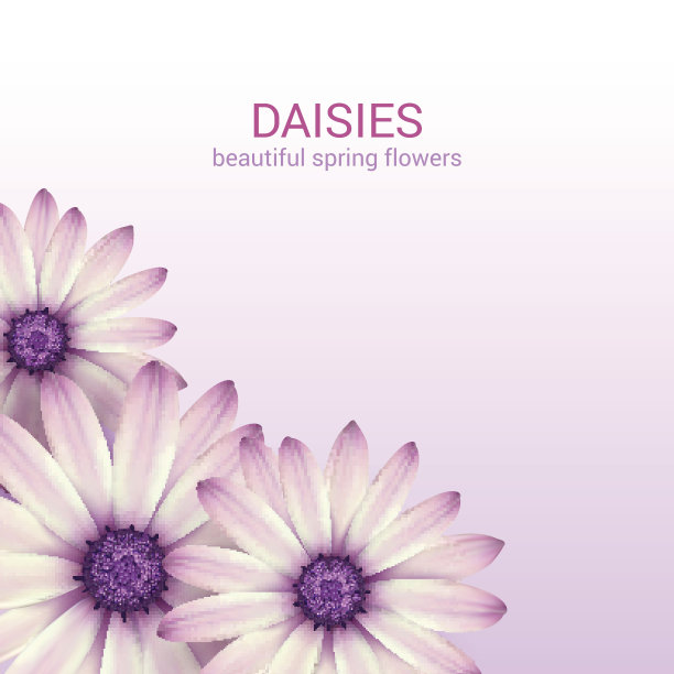 春天的花朵组成。图片下载