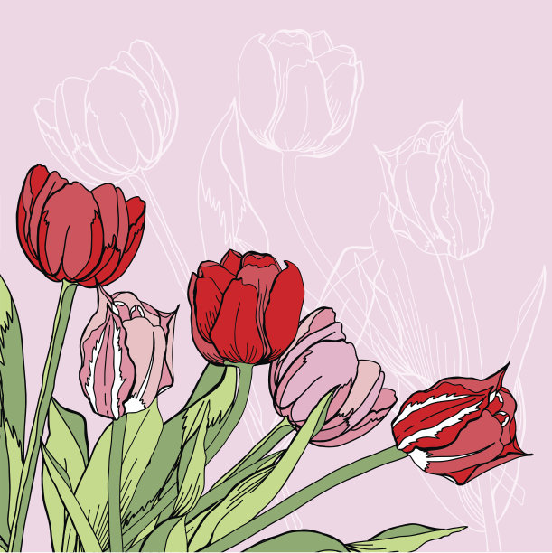 背景与红色和粉红色的郁金香图片下载