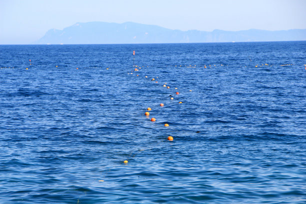 沙克坦半岛海图片下载