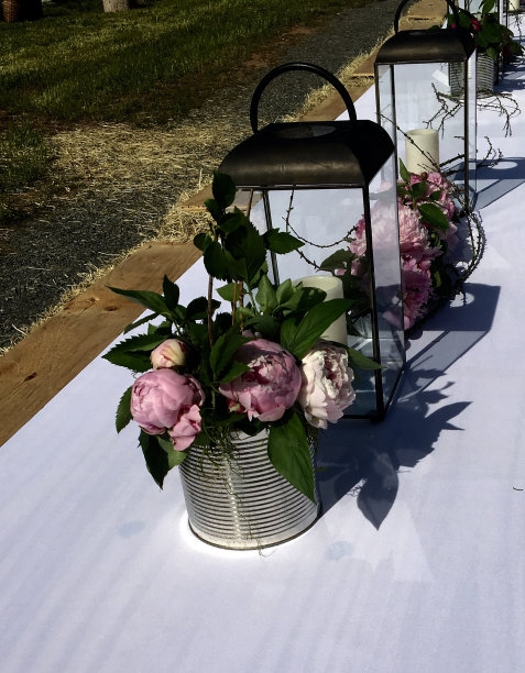 牡丹和罐头图片下载