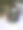 牡丹和罐头图片下载