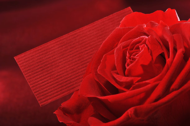 玫瑰与贺卡图片下载