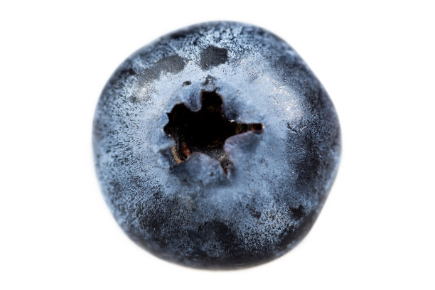 新鲜的蓝莓或越桔孤立在白色背景上图片下载