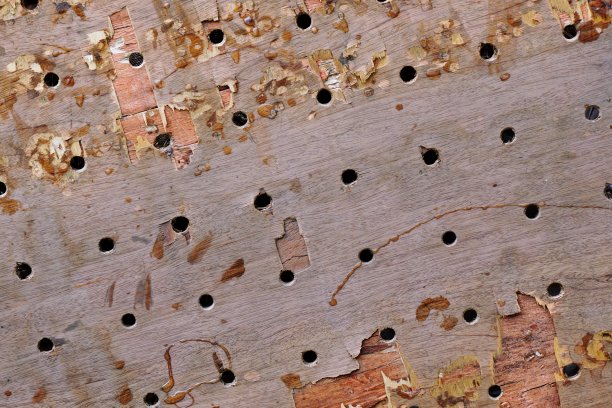 带钻孔的木板图片下载