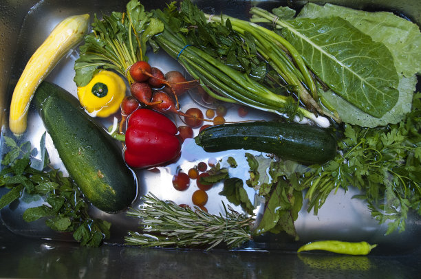 在装满水的水槽中种植蔬菜图片下载