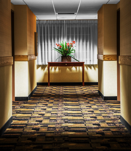 走廊的桌子花图片下载