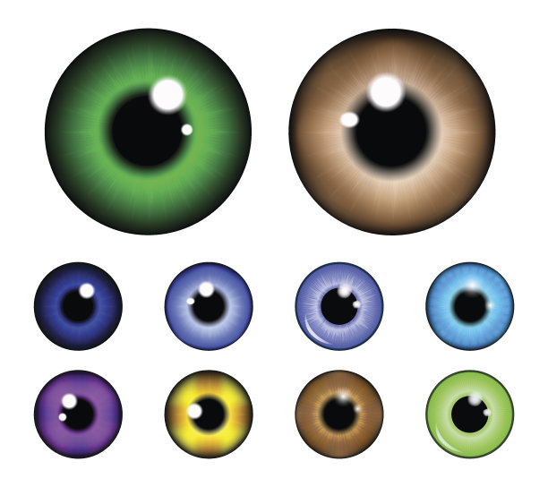 眼睛矢量图素材ID：130820242