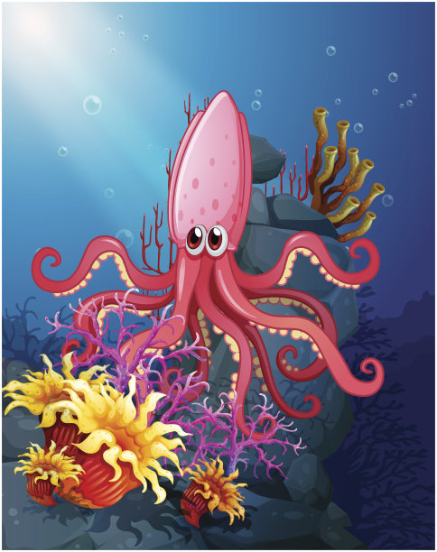 海底的大乌贼和珊瑚图片下载