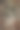 老木的背景图片下载