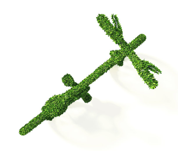 生态学的自行车图片下载