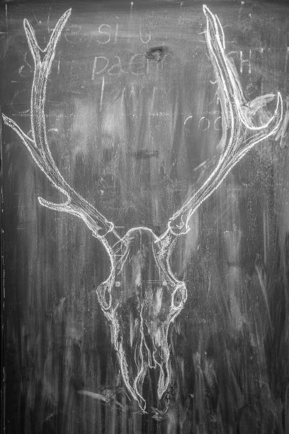 [尼马尔头骨图片下载