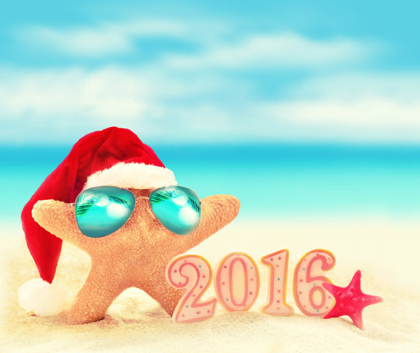 夏日海滩上戴着墨镜的海星，戴着圣诞帽。图片下载