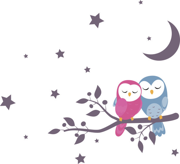 一对猫头鹰坐在夜景图片下载