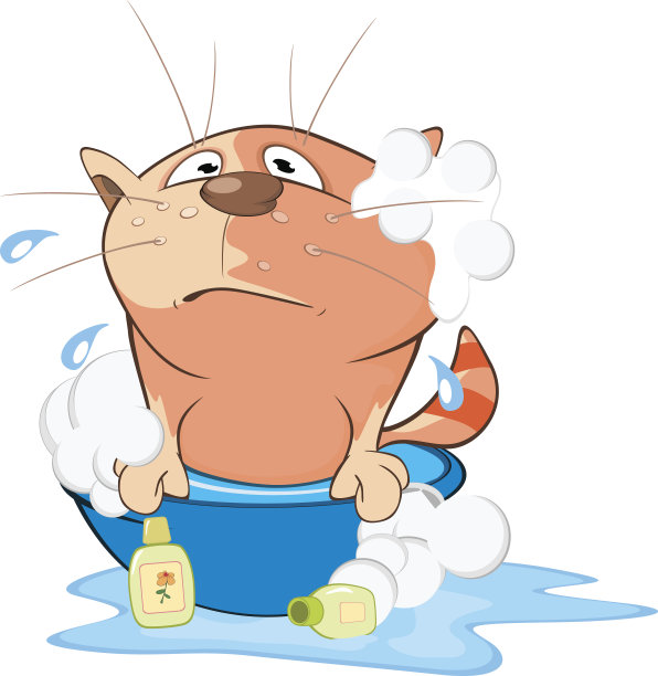 可爱的猫插图。卡通人物图片下载