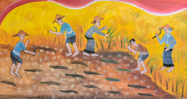 泰式壁画以传统的方法培植水稻图片下载