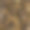 背景与豹皮纹理图片下载