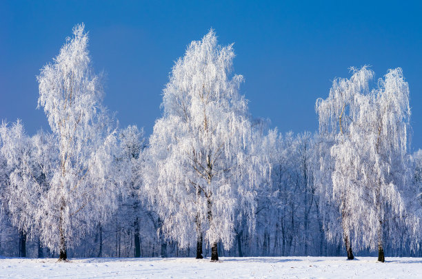 冬天农村图片下载