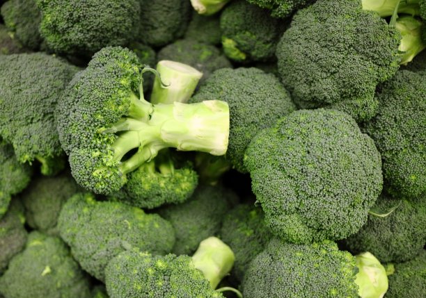 花椰菜图片下载