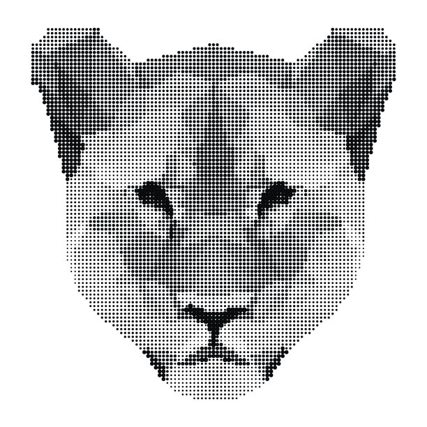 抽象的单色狮子肖像圆圈孤立在白色的背景图片下载