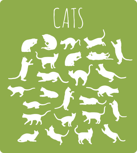 各种姿势的猫图片下载