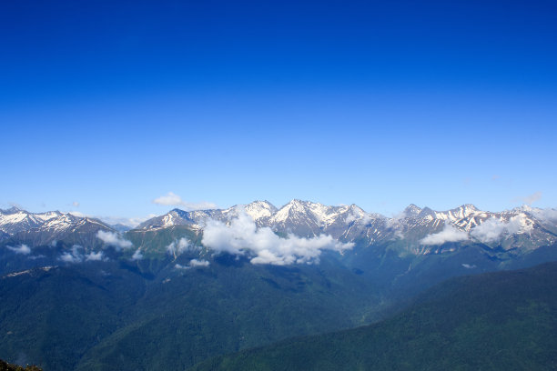 高加索山脉覆盖着皑皑的常绿森林下的蓝天图片下载